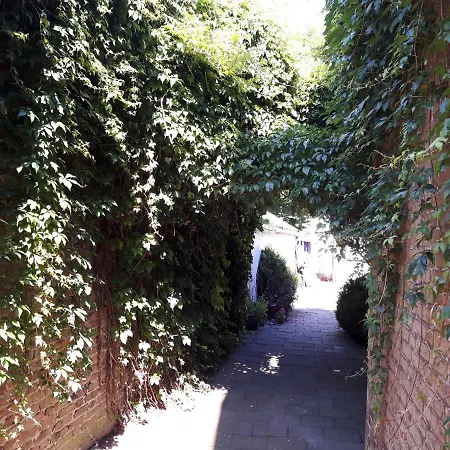 De Kunstpraktijk Panzió 4*