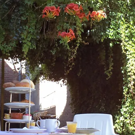 De Kunstpraktijk B&B 벨트호벤